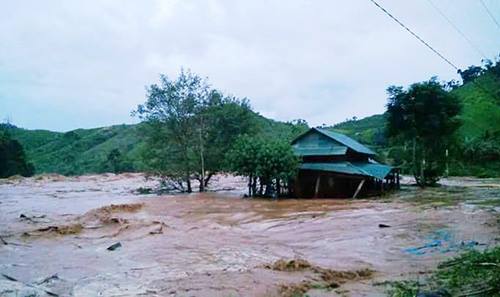 Thông tin từ đường dây nóng